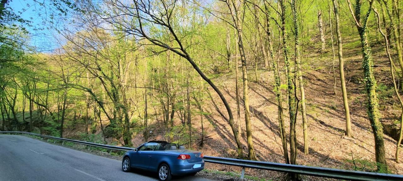 Hos-Cegledi Vendeghaz Miskolc -Oenallo Otthon, Mely Csak Az Oenoeke 外观 照片