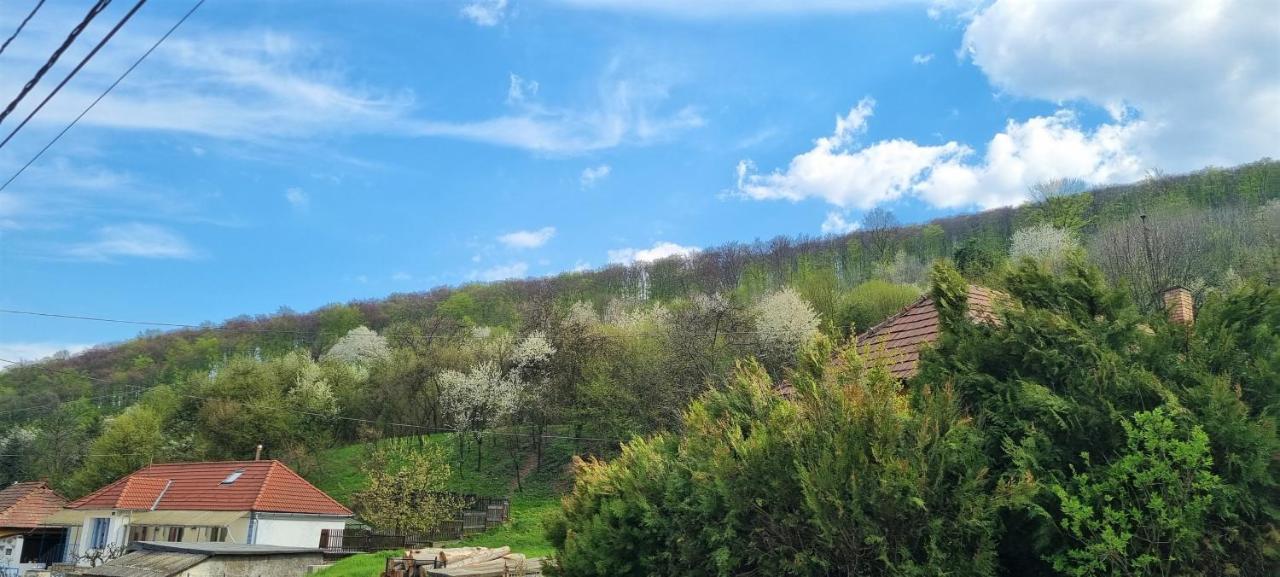Hos-Cegledi Vendeghaz Miskolc -Oenallo Otthon, Mely Csak Az Oenoeke 外观 照片